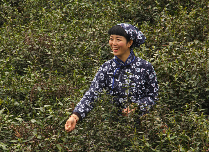 推荐8